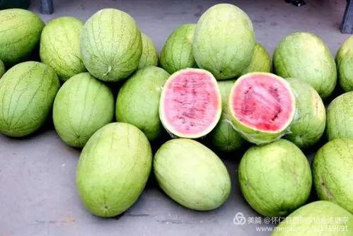 怀仁最近网红大瓜 吃瓜网每日大赛 热门大瓜每日必吃,吃瓜网每日大赛，热门大瓜每日必吃